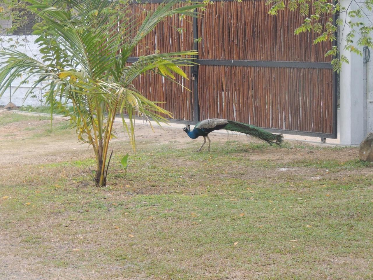 Ma Villa Unawatuna (Adults Only) Exterior foto
